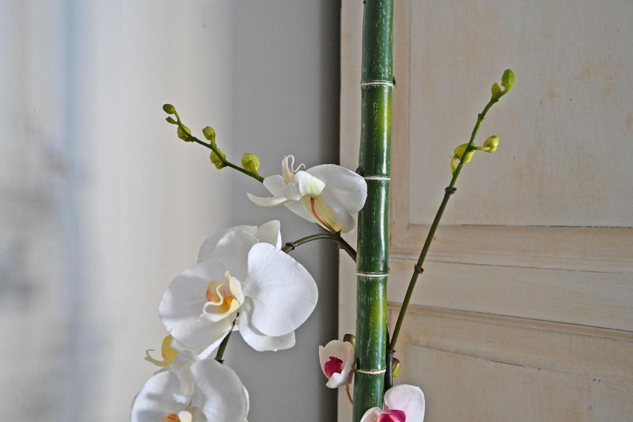 Au Coeur Des Papes, Dans Batisse De Charme Studios & Appartements En Coeur De Ville 아비뇽 외부 사진